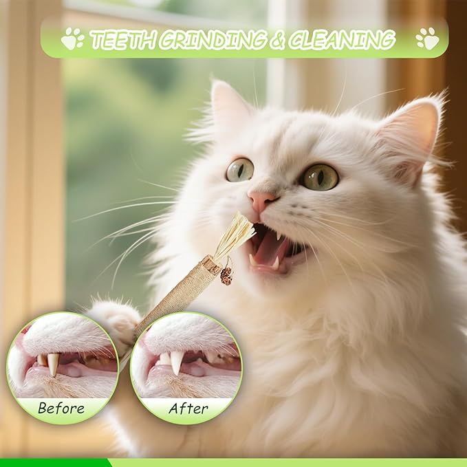 Catnip Toys for Cats, Kitten Chew Toys Silvervine Sticks for Indoor Cats Teeth Cleaning 10 Pack, Interactive Treat Dental Organic Cotton Chew Rope with Cute Dolls Catnip Inside