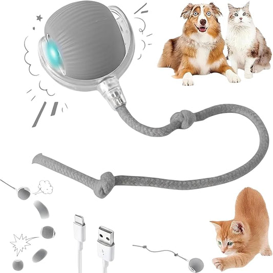 Interactive Electric Automatic Rolling Moving Rechargeable Self Play Stimulation Toy,Smart Pet Chase with Speedy Tail Rope for Bored Indoor Cats (Grey)