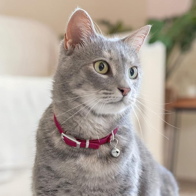 CollarDirect Leather Cat Collar with Bell - Kitten Collar, Small and Big Cat Strap for Boy Cats, Girl Cats with Safety Elastic Strap (Neck Fit 6"-7", Pink)