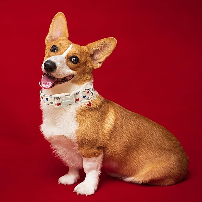 DOGWONG Valentine's Dog Collar-Hearts Print Dog Collar for Large Cute Dog Collars Spring Female Male Pet Gift Adjustable Heavy-Duty Soft Collar，XL