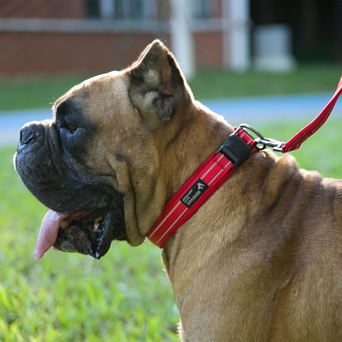EXCELLENT ELITE SPANKER Reflective Dog Collar Classic Soft Padded Breathable Nylon Adjustable Pet Collar with Quick Release Buckle for Boy Girl Male Female Small Medium Large Dogs Training(Purple-XL,)