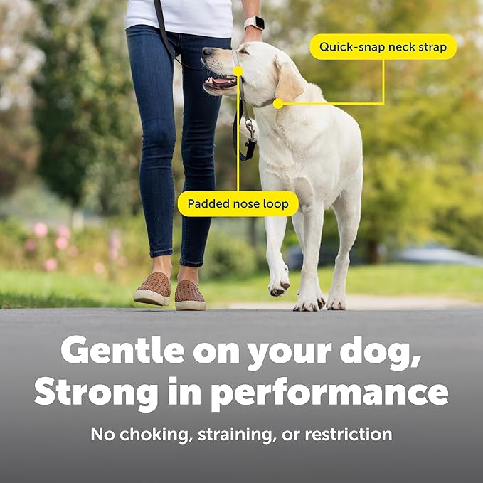 PetSafe Gentle Leader Headcollar No-Pull Dog Collar - Helps Improve Walks - Durable Nylon Construction - Padded Nose Loop - Adjustable Fit - Comfort Walking Halter - Large, Royal Blue