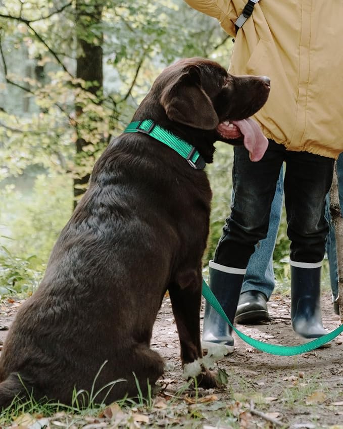 TagME Reflective Nylon Dog Collars, Adjustable Classic Pet Collar with Quick Release Buckle for Large Dogs, Turquoise, 1.0" Width