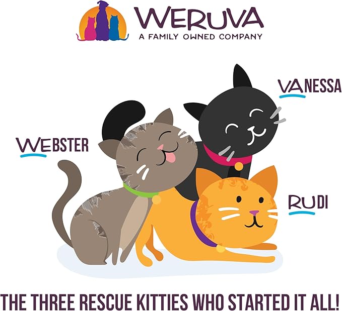Weruva Cats in The Kitchen, Fowl Ball with Chicken & Turkey Au Jus Cat Food, 6oz Can (Pack of 24)