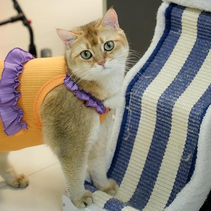 Cat Recovery Suit,Kitten Onesie After Surgery,E-Collar Alternative for Abdominal Wound and Skin Diseases,Soft Breathable Bodysuit After Spay（Orange-s）