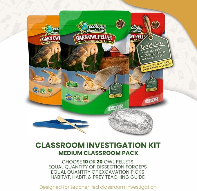 Barn Owl Pellets for Dissection for Classrooms, Medium 10-Pack Kit by OBDK | Forceps, picks and instructor guide included, life science and ecology, bone sorting chart, hands-on lab activity