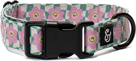 Lucy & Co. Making Rainbows, Cute Reversible Dog Harness Walking Halter - Best Designer Pet Harnesses for XS - XL Dogs - Padded Adjustable Vest for Easy Walking (Large)