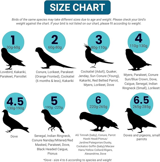 Bev's Bird Boutique Regular Flyper Adjustable Bird Diaper | Reusable, Washable Cloth | Comfort Fit for Parrot, Cockatiels, & Other Small Birds | Fashionable Avian Accessories, Classy Bird Size 7.5