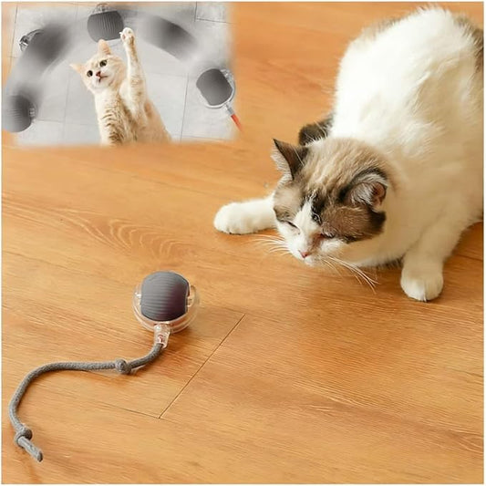 Interactive Cat Toys for Indoor Cats, Agility Move Cat Balls,Motion Activated Cat Balls, Cat Toys for Bored Indoor Cats(Grey)