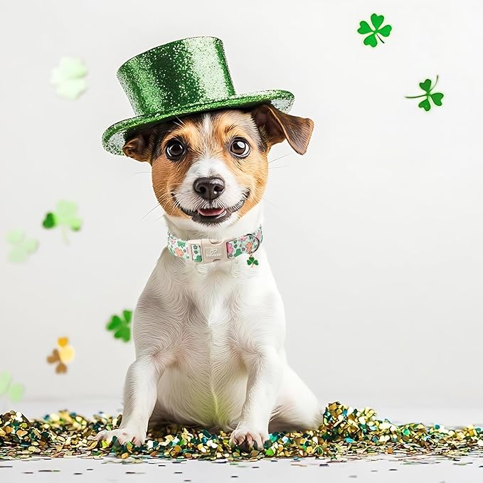 St Patricks Day Dog Collar for Puppy Small Dogs - Cute Pastel Lucky Clover Dog Collars, Lightweight Adjustable Irish Green Festival Dogs Collars with Quick Release Buckle XS