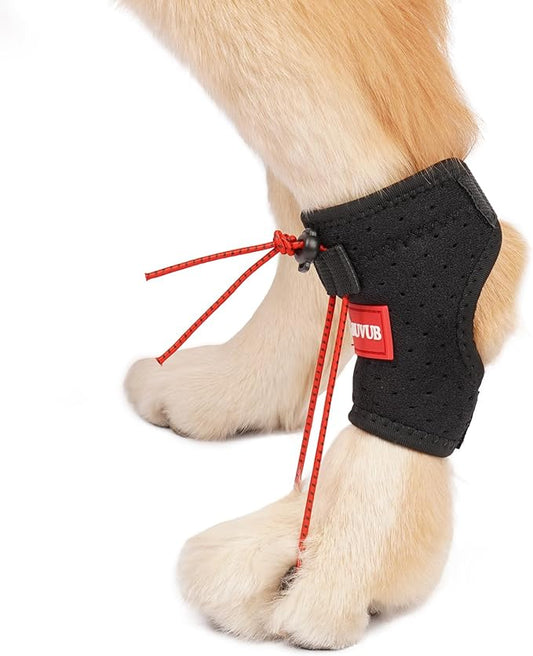 Dog Canine Knuckling Brace Front Paw Rear Leg Dog Foot Brace Wrap for Toe Dragging Cause by Sciatic Nerve Insufficiency, Myelopathy, Herniated Disc（XLarge,Pair Pack）