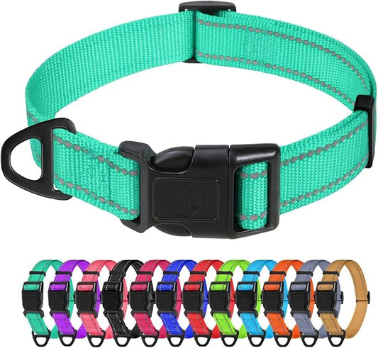 TagME Reflective Nylon Dog Collars, Adjustable Classic Pet Collar with Quick Release Buckle for Small Dogs, Turquoise, 5/8" Width