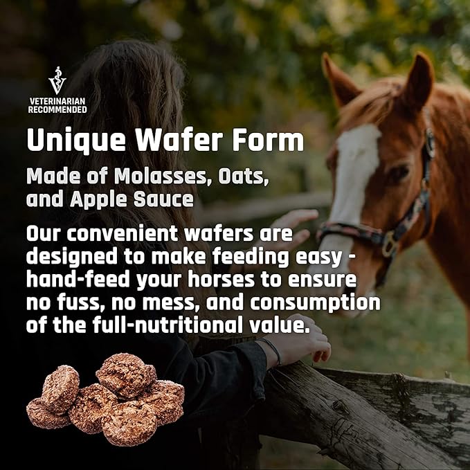 Majesty's Flex Wafers - Superior Horse/Equine Joint Support Supplement - Glucosamine, MSM, Chondroitin, Yucca, Vitamin C (Regular, 2 Pack (120 Count Total))