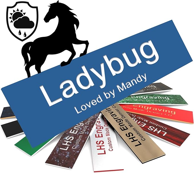 Personalized Horse Stall Name Plates, 2x8 Horse Stall Signs with Adhesive, All Weather UV Protected, Blue Plastic with White Letters - Made in USA - B9