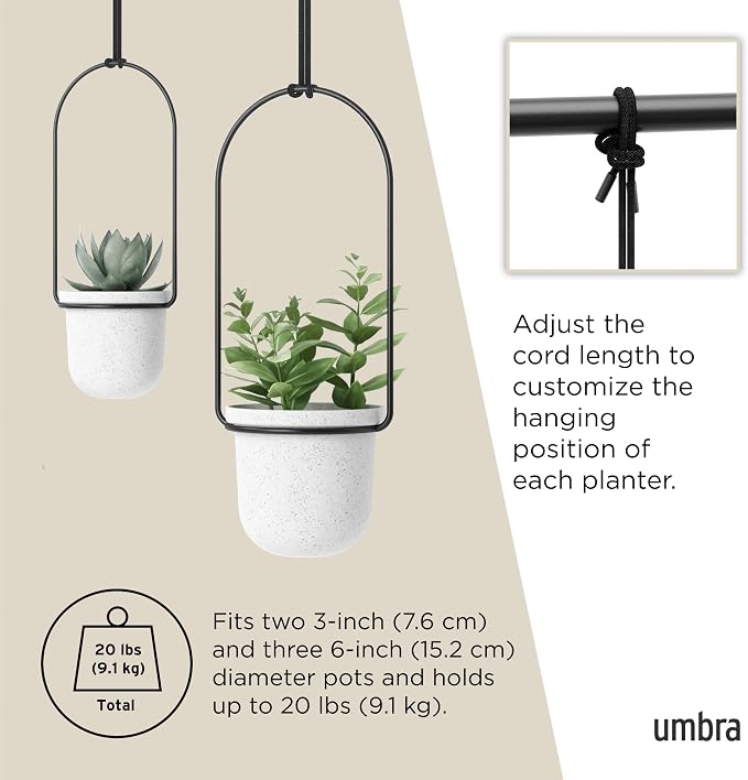 Umbra Triflora Hanging Planter for Window, Indoor Herb Garden