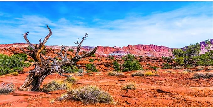 AWERT 72x18 inches Reptile Habitat Background Blue Sky Oasis Orange Desert Terrarium Background Durable Polyester Background