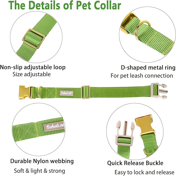 Nylon Dog Collar - Adjustable Green Soft Webbing Dog Collars for Small Medium Large Dogs Boy Girl Puppy Collar with Safety Metal Buckle XS