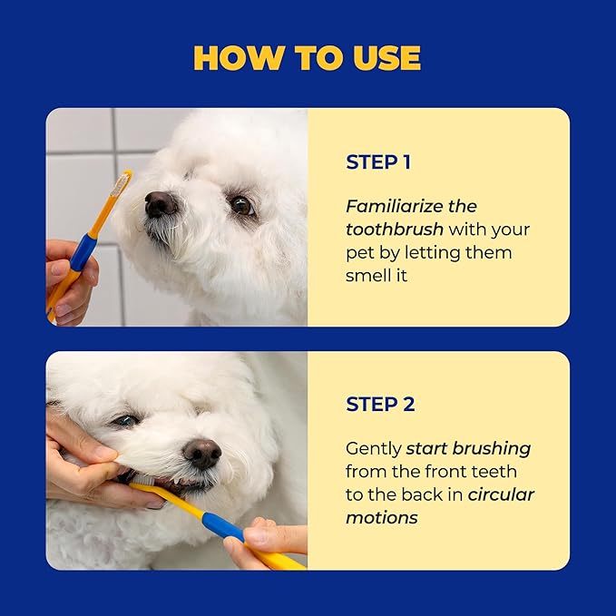 PETHROOM] Pet Toothbrush - Cats, Kitten, Small Dog Dental Care, Removing Teeth Tartar | Soft Bristle Cleaning Toothbrush Cat (Extra Small)
