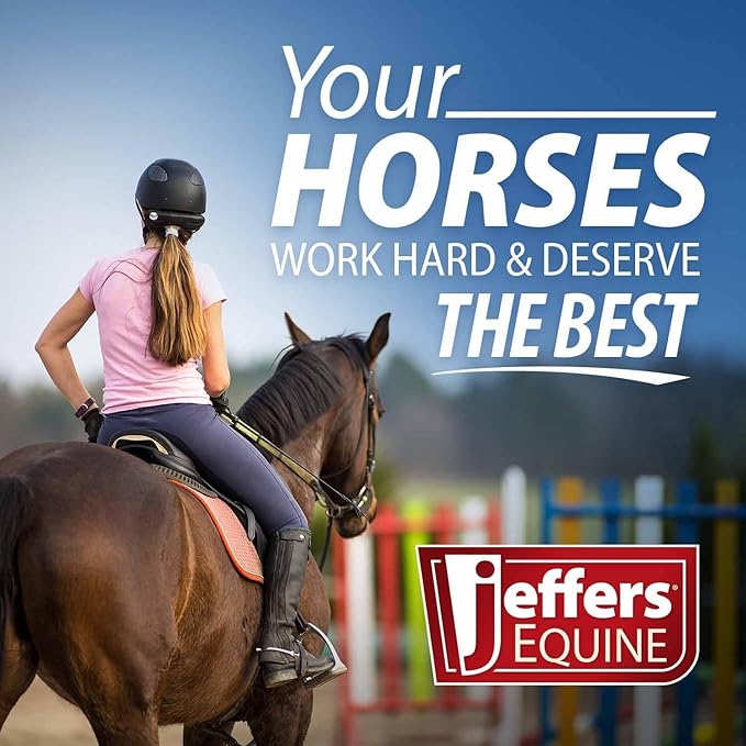 Jeffers Horse Fleece Polo Wraps 4 Pack and Equine Health Record 1 Pack Kit – Leg Wrap Accessories for Training Riding Turnout Stable, Hoof Care Tracker, Equestrian Horse Supplies - Red