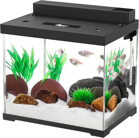 AQQA Small Glass Fish Tank，2.4 Gallon Self Cleaning Aquarium Starter Kits,USB External Controller,Adjustable 4 Color Lighting,Individually Controlled Upper Filtration System Black