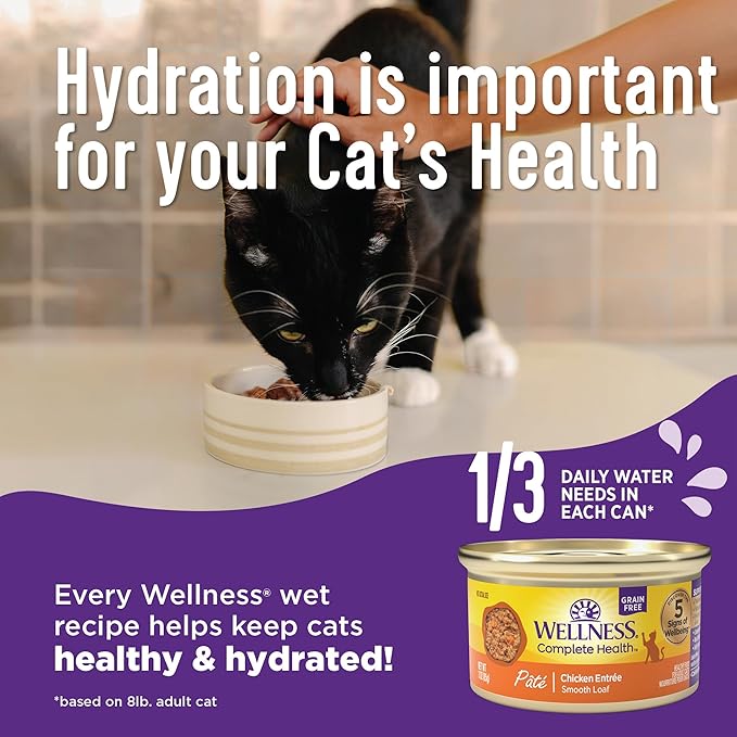 Wellness Complete Health Minced Adult Wet Cat Food, Natural, Protein-Rich, Grain Free, 3 Ounce, 24 Pack, (Tuna Entrée)