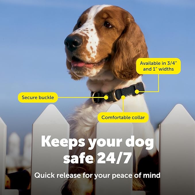 PetSafe KeepSafe Collar for Dogs - Protects Against Collar Accidents - Long Lasting - Durable - Adjustable - Breakaway - Outdoor-Safe - Medium - 1 In. Wide - Blue