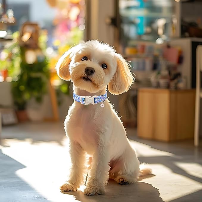 Floral Dog Collar for Large Dogs - Cute Spring Dog Collars, Soft Lightweight Bee & Daisy Puppy Collar, Breathable Adjustable Male Female Blue Wildflowers Dogs Collars L