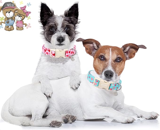 DOGWONG Valentine's Dog Collar - Blue Heart Adjustable Cotton Heart Dog Collar - Perfect for Small, Medium, Large Dogs