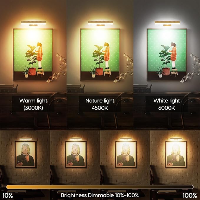 2Pcs Picture Light for Wall Dimmable, Remote Painting Light