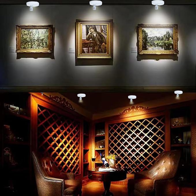 HAMVIDNE LED Spotlight, Battery Operated Picture Lights, Uplighting Indoor