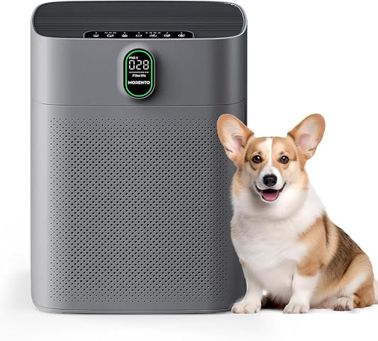 MORENTO Air Purifiers for Home Large Room up to 1076 Sq Ft with PM 2.5 Display Air Quality Sensor for Pet Hair, Double-Sided Air Inlet, 24db, Grey, 1 Pack + 2 Pack Filters