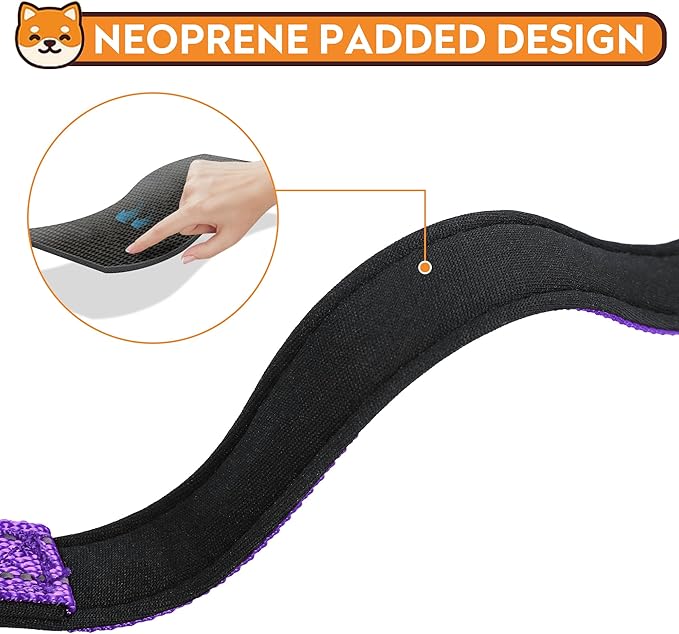 Reflective Dog Collar, Adjustable Soft Neoprene Padded Nylon Pet Collars with Buckle for Small Dogs, Purple,S
