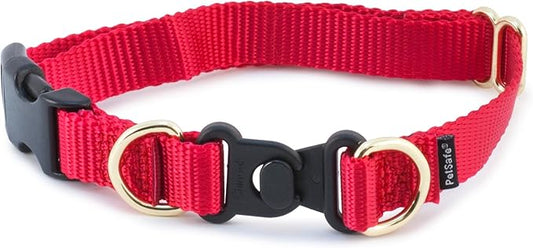 PetSafe KeepSafe Collar for Dogs - Protects Against Collar Accidents - Long Lasting - Durable - Adjustable - Breakaway - Outdoor-Safe - Medium - 1 In. Wide - Red