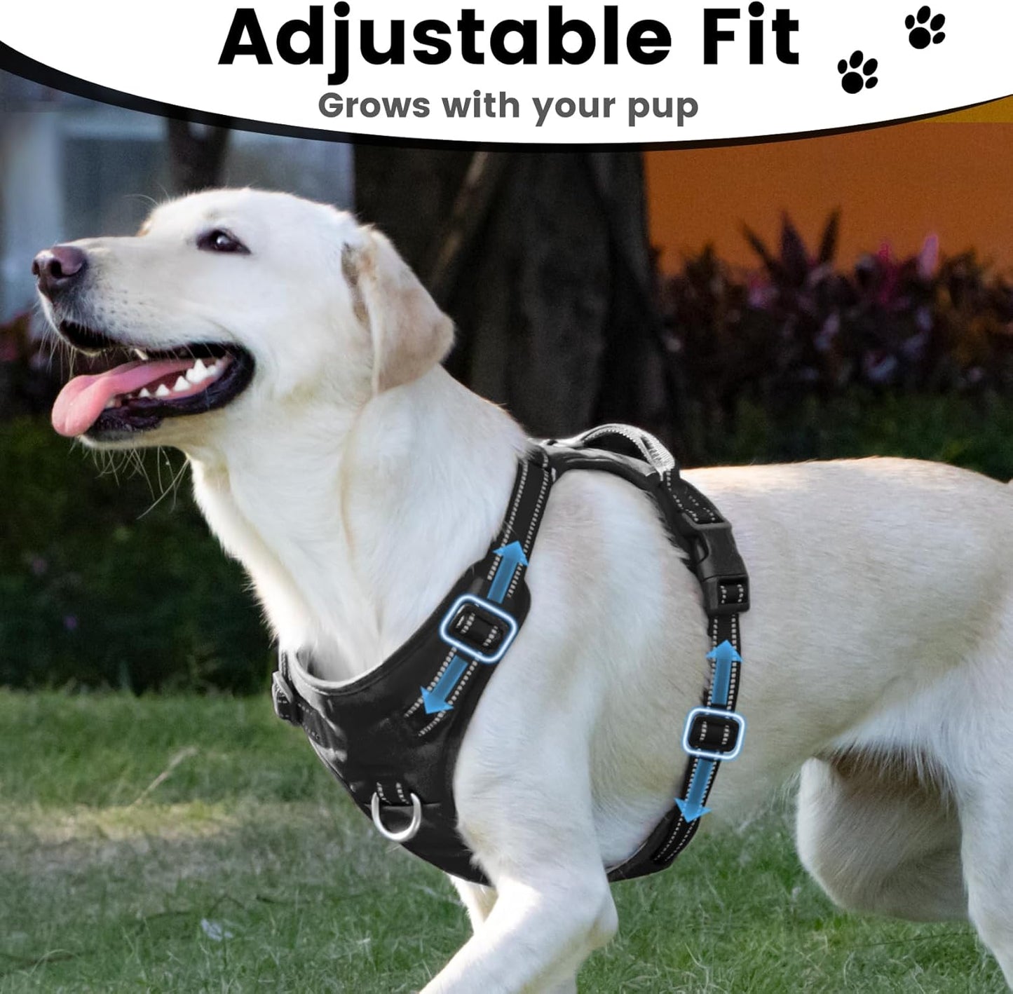 No Pull Dog Harness, Reflective Puppy Vest for Small Medium Large Sized Dog(Black,XL)