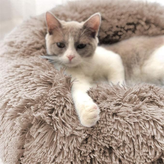 Cat Bed for Indoor Cats and Small Medium Dogs - Washable 20/24 Inches, Round Fluffy Plush Faux Fur, Anti-Anxiety, Thick Bottom (Light Brown, Medium)