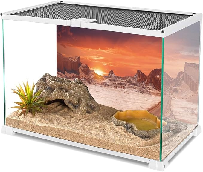 AWERT 60x24 inches Sun and Desert Terrarium Background Orange Reptile Habitat Background Durable Polyester Background