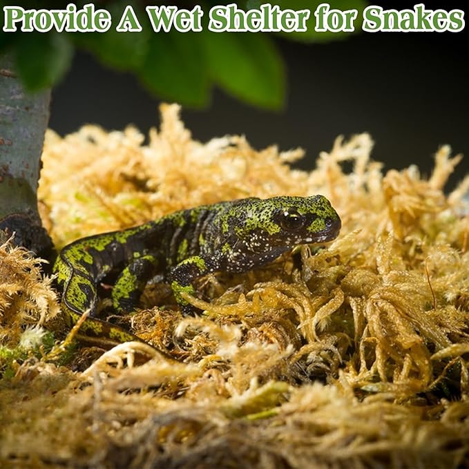 Halatool 9OZ Natural Sphagnum Moss for Reptiles Premium Reptile Moss Ideal Terrarium Moss for Box Turtles Hermit Crabs Leopard Gecko Snakes and Hamsters Enclosure