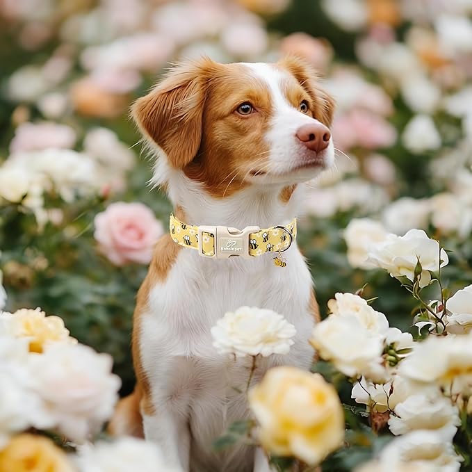 Bee & Daisy Dog Collar for Medium Dogs - Spring/Summer Cartoon Yellow Dog Collars, Lightweight Adjustable Male Female Dogs Collars with Quick Release Buckle M