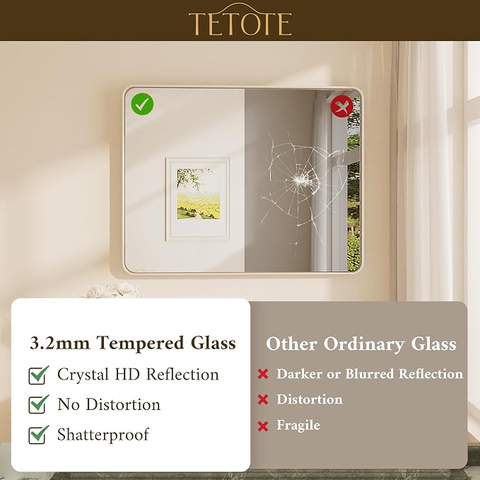 TETOTE 60 x 40 Inch Brushed Nickel Mirror
