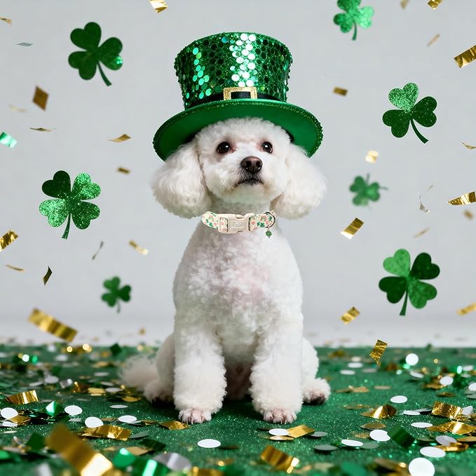 St. Patrick's Day Dog Collar for Large Dogs - Cute Shamrock & Rainbow Print Dog Collars, Irish Green Party Puppy Collar, Lightweight Adjustable St. Patricks Day Pet Collars XL