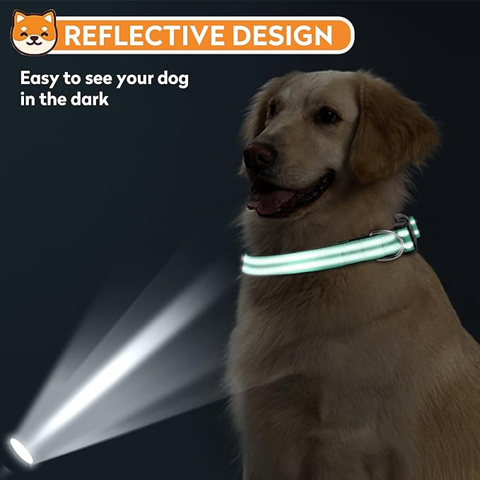 Reflective Dog Collar, Adjustable Soft Neoprene Padded Nylon Pet Collars with Buckle for Medium Dogs, Grass Green,M