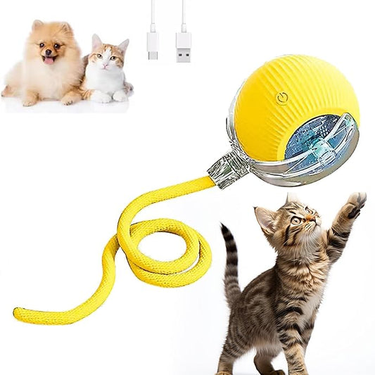 Automatic Interactive Rolling Cats Dog Toys Ball for Indoor- Rechargeable Activate Interactive Dog Pet Toy for Indoor, Self-Playing Automatic Moving Kitten Toys for Cats