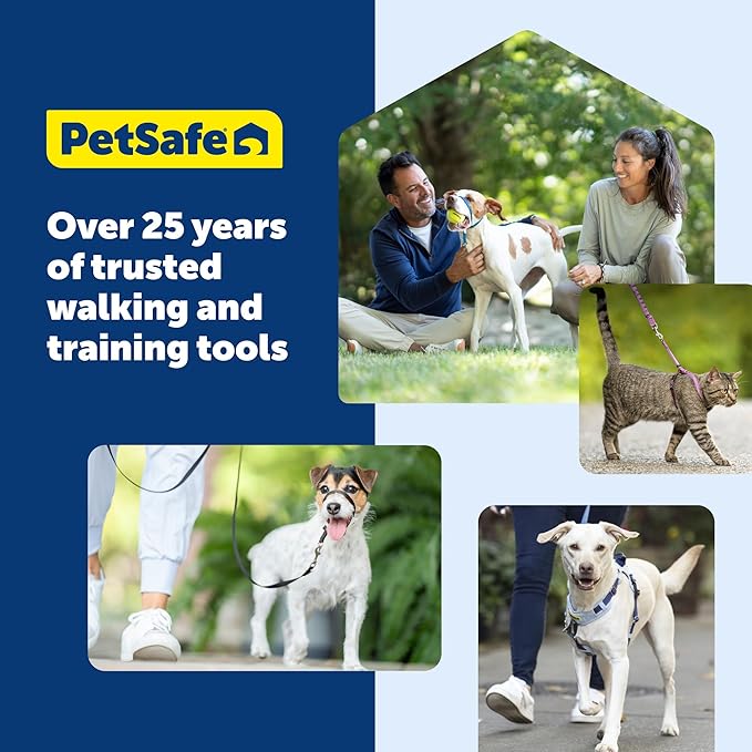 PetSafe Gentle Leader Headcollar No-Pull Dog Collar - Helps Improve Walks - Durable Nylon Construction - Padded Nose Loop - Adjustable Fit - Comfort Walking Halter - Large, Raspberry Pink