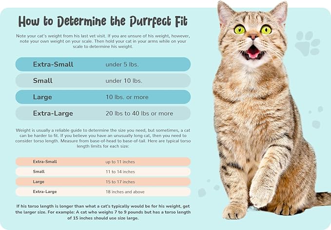 Cat-in-the-Bag Cozy Comfort Carrier - Extra Small Charcoal Cat Carrier Soft and Pet Carrier for Nail Clipping, Vet Visits, Medication Administration, Dental Care, and Traveling
