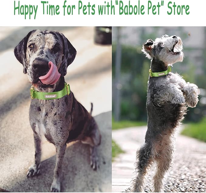 Nylon Dog Collar - Adjustable Green Soft Webbing Dog Collars for Small Medium Large Dogs Boy Girl Puppy Collar with Safety Metal Buckle L