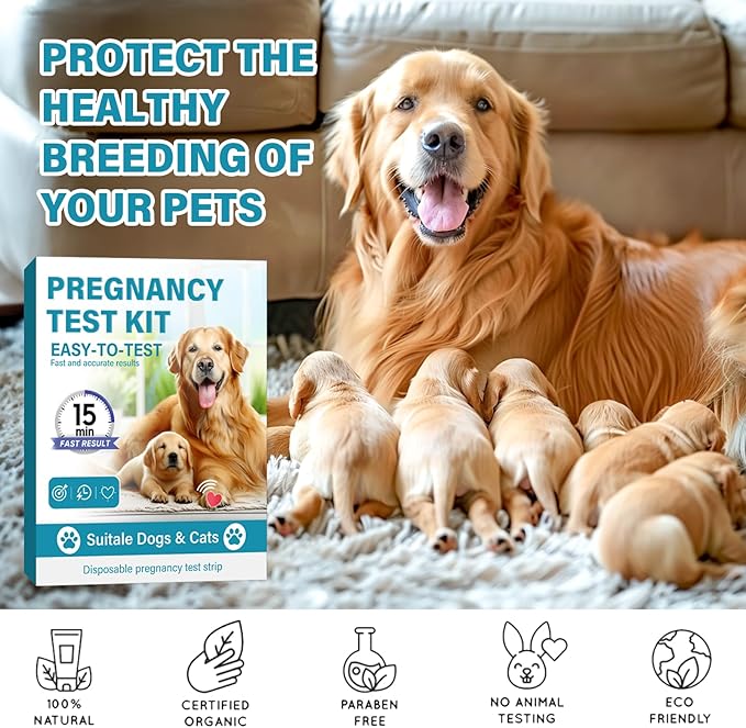 Dog Pregnancy Test Kit at Home, Accurate and Fast Dog Pregnancy Test, Convenient & Disposable Pregnancy Tests Strip
