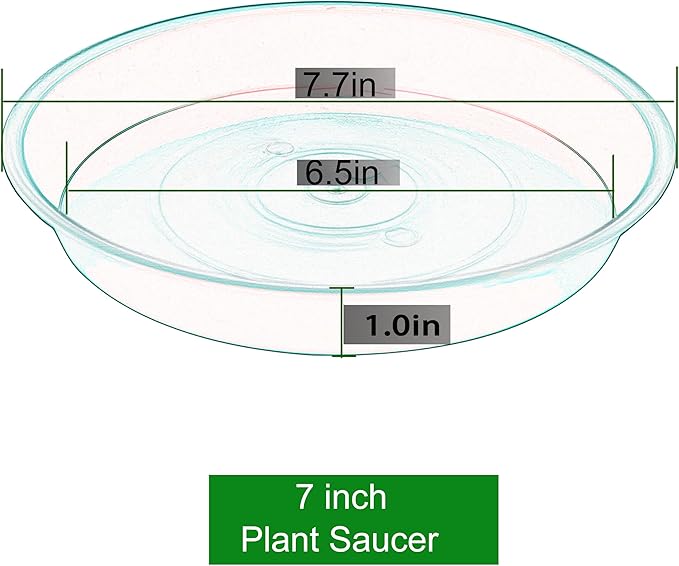 6 Pack of 7 inch Plant Saucer, Heavy Duty Plastic Plant Water Tray 7 inch Round, Flower Plant Saucers for Indoors No Holes, Plant Dishes Saucer for Planter 7"/8" (7", Black)