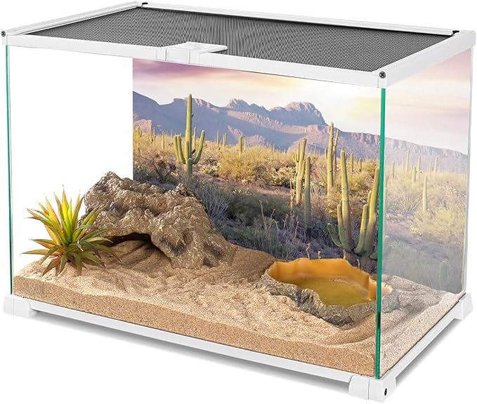 AWERT Reptile Habitat Background Blue Sky Oasis Mountain Cactus Sun and Desert Terrarium Background 30x12 inches