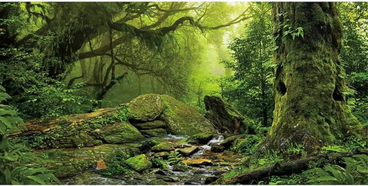 AWERT Tropical Forest Terrarium Background Stream Green Huge Tree Reptile Habitat Background Foggy Rainforest Aquarium Background 36x20 inches Durable Polyester Background