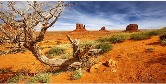 AWERT 30x12 inches Reptile Habitat Background Orange Desert Terrarium Background Durable Polyester Background
